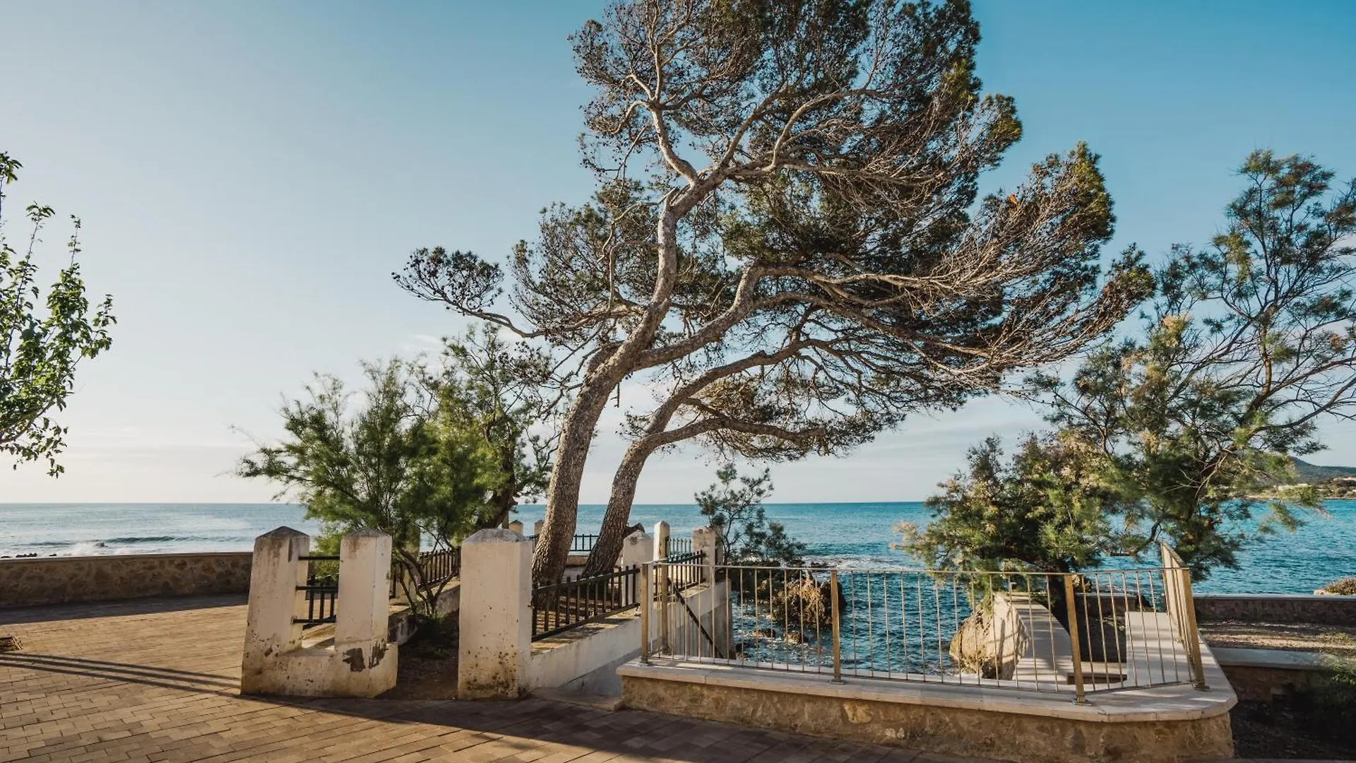 Sa Punta Duplex Cala Ratjada Appartement